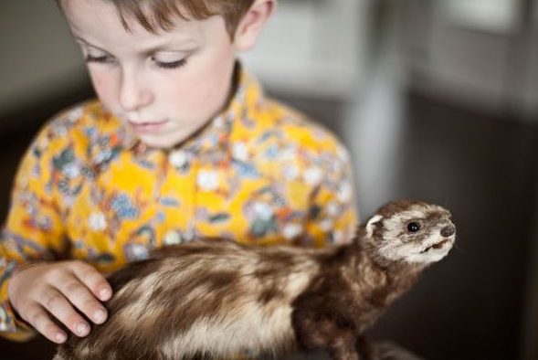 Atelier Assemble,茄子,儿童摄影,杂志